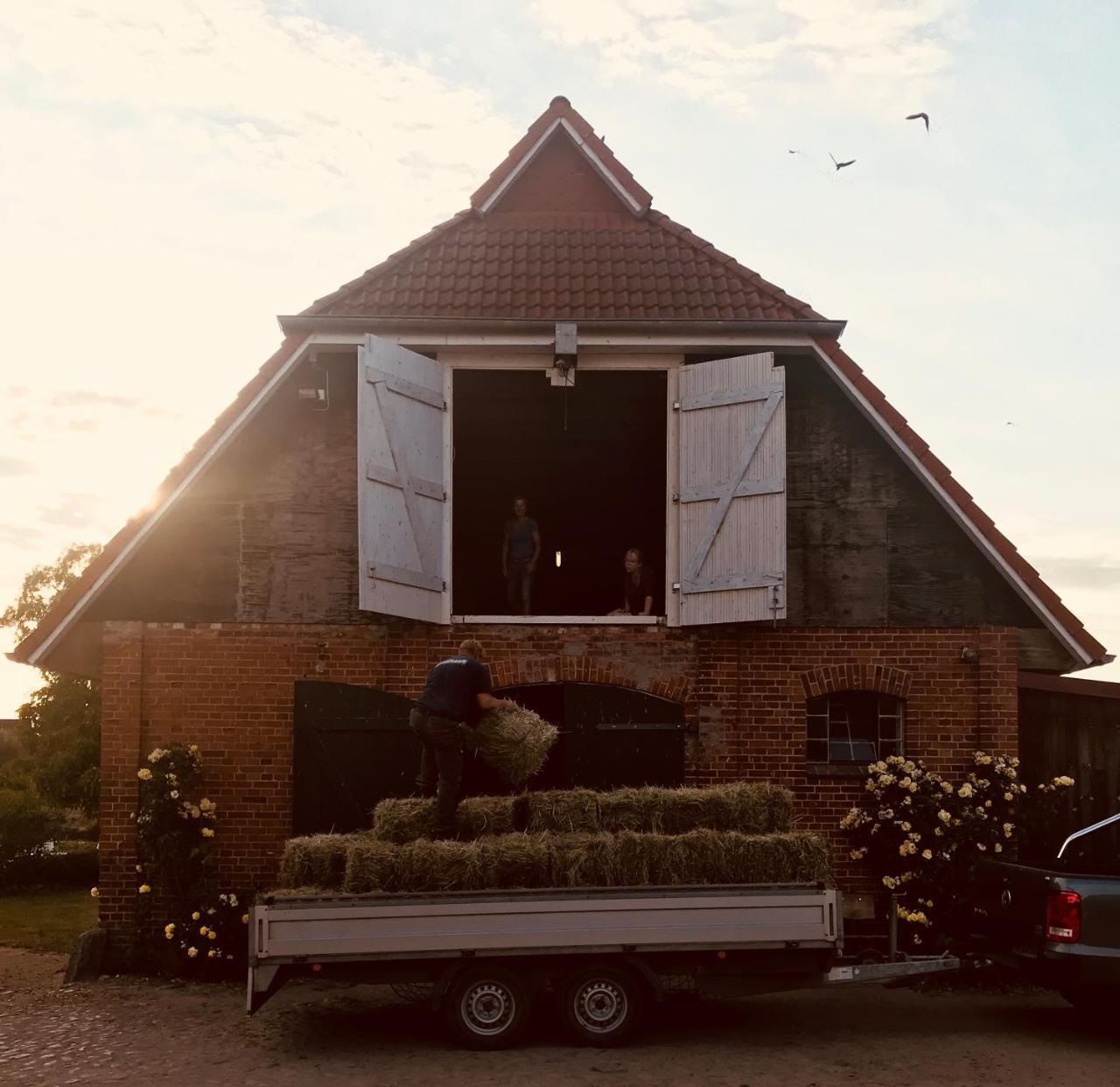 Ferienanlage Gutshaus Gramkow エクステリア 写真