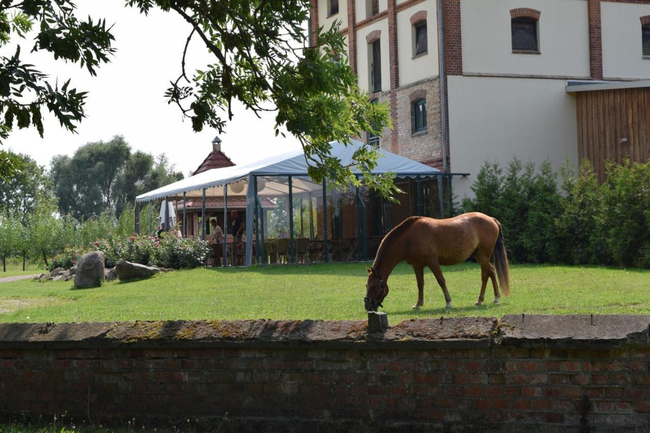 Ferienanlage Gutshaus Gramkow エクステリア 写真